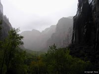Zion National Park Picture - Zion Canyon