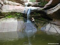 Zion National Park Picture - Pine Creek