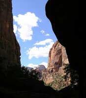Zion National Park Picture - Pine Creek