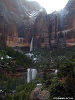 Zion National Park Picture - Emerald Pools
