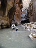 Zion National Park Picture - Zion Narrows