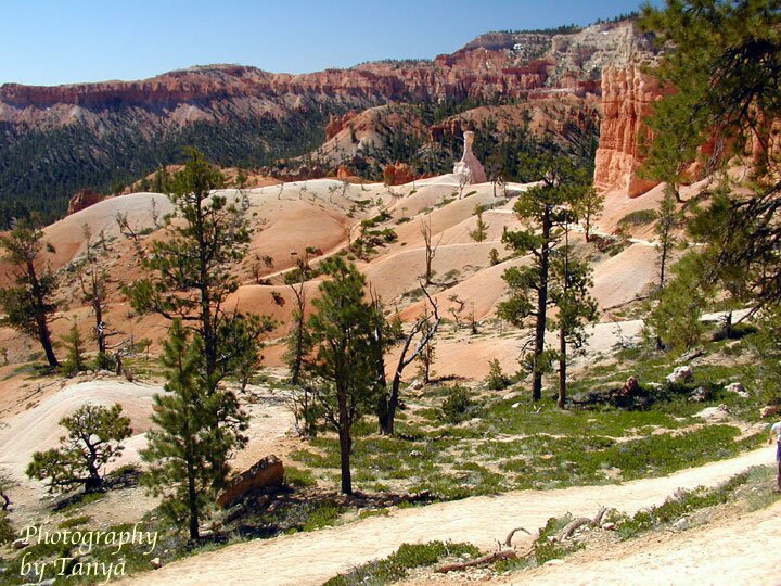 Queens Gardn in Bryce Canyon