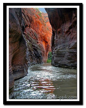 Parunuweap Canyon