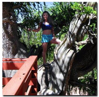 Bristlecone Pine Trail end
