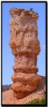 hoodoo in Bryce Canyon