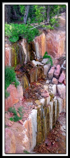 Cedar Breaks Bartizan Arch Hike