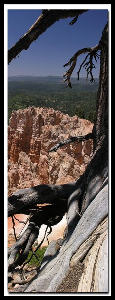 A view from the Virgin River Rim Trail on Cedar Mountain
