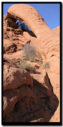 Cobra Arch - Paria Canyon