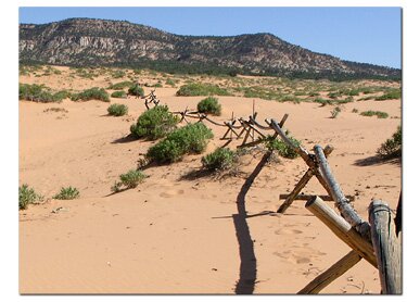 Coral Pink Sand Dunes
