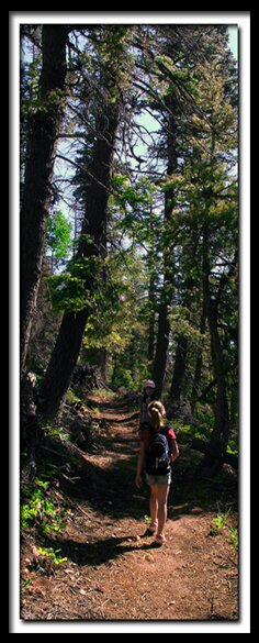 Dixie National Forest - Cedar Mountain