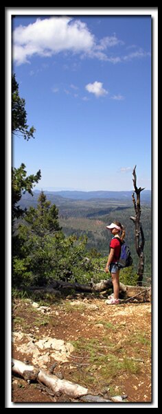 Virgin River Rim Trail on Cedar Mountain in Dixie National Forest