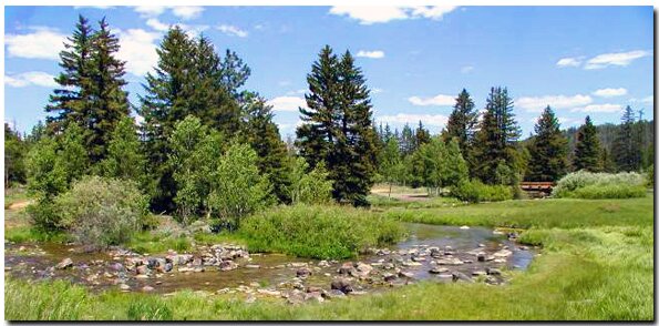 Duck Creek on Cedar Mountain