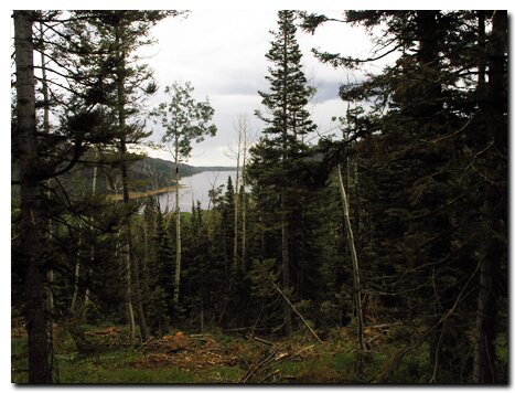 Lake along the Virgin Rim Trail on Cedar Mountain in Dixie National Forest