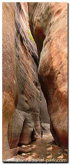 Zion Narrows