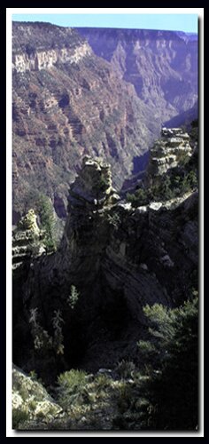 Widforss Trail North Rim Grand Canyon