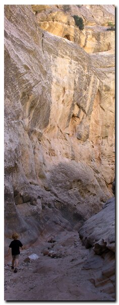 Cottonwood Canyon in the Grand Staircase National Monument