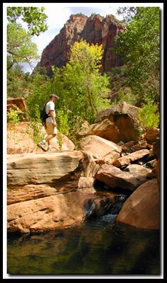 Zion's Pine Creek