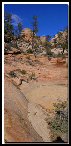 Tunnel Canyon