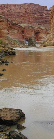 Grand Canyon's Vaseys Paradise