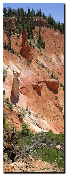 Virgin River Rim Trail on Cedar Mountain in Dixie National Forest