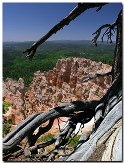 Virgin River Rim Trail