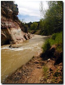 Zion Budget Lodging