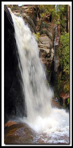 Utah's Water Canyon
