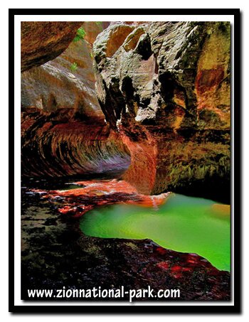 Zion's Subway