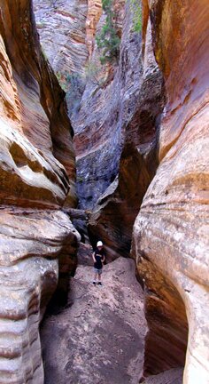 Zion's Clear Creek