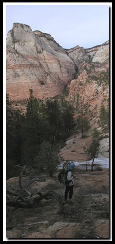 Zion's Cockeye Falls