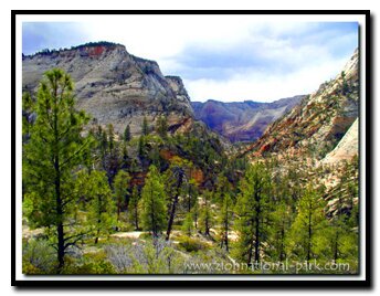 Zion's East Rim Trail