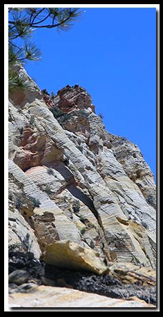 Zion's Hidden Arch