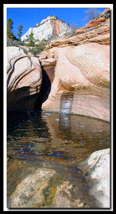 Zion's Many Pools Hike