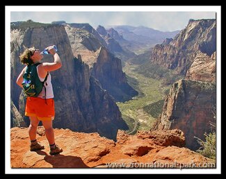 Observation Point