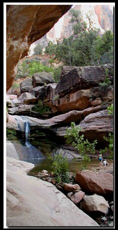 Zion Park: Pine Creek Waterfall
