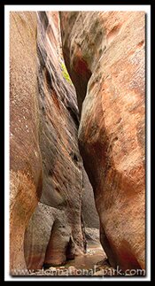 Zion Park: Zion Narrows