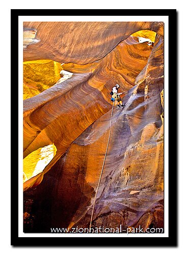 Zion's Pine Creek Slot Canyon - Tanya rapelling