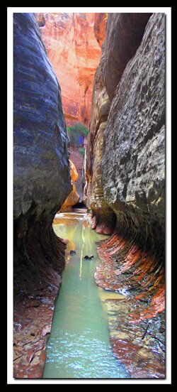 Subway in Zion National Park